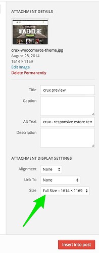 Full size WordPress image