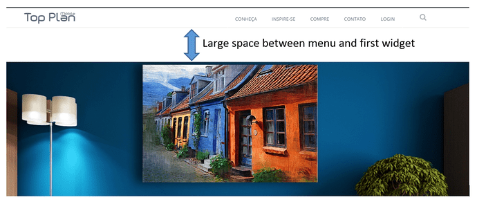 Large space between menu and first widget