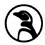 penguin1