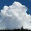 whitecloud